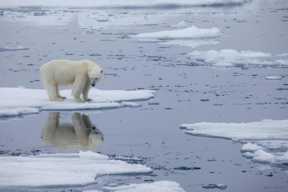 Earth Day is an annual event to raise awareness of climate change