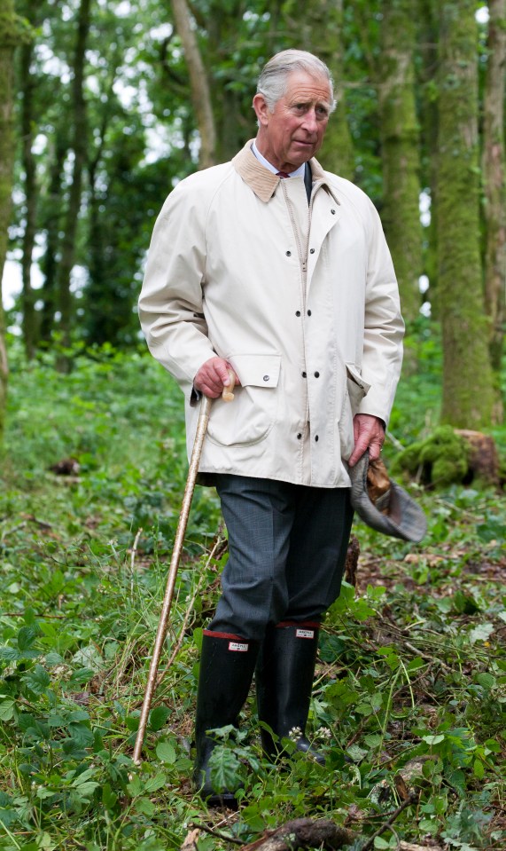 The Prince Of Wales watches British Horse Loggers logging in woodland on his Llwynywermod Estate on July 10, 2012