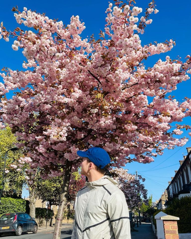 AJ Pritchard shared a stunning snap of a blossom tree