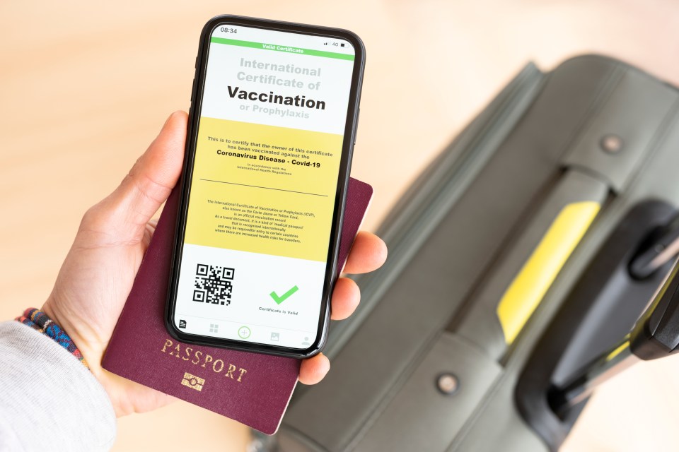 Ministers have warned a vaccine passport app may not be ready for the end of lockdown