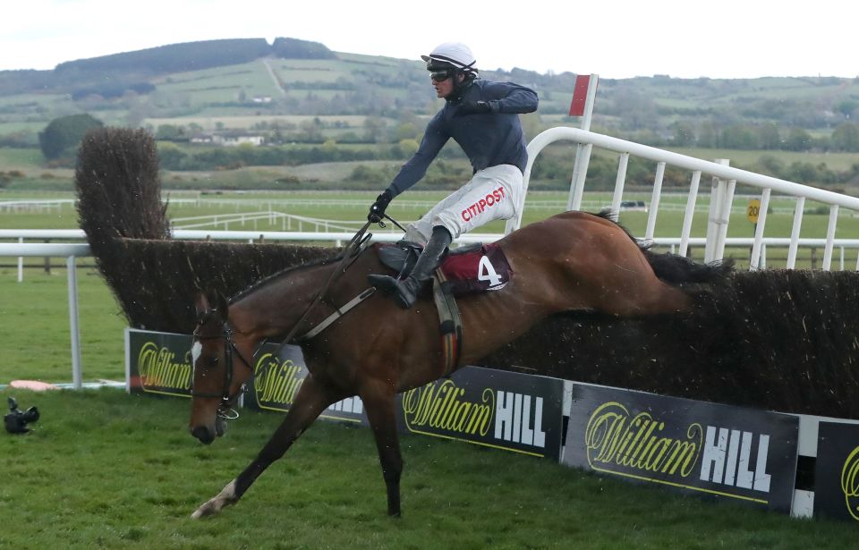 Colreevy put in his worst jump at the last fence - but held on to win