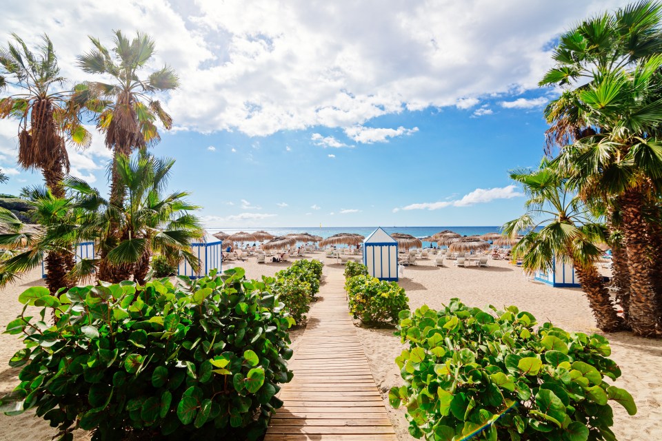 Here are our top tips to Tenerife, Fuerteventura and Lanzarote