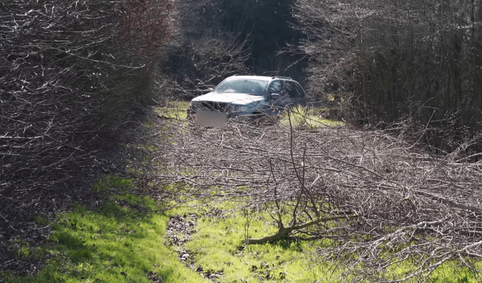 She was seen driving through shrubs