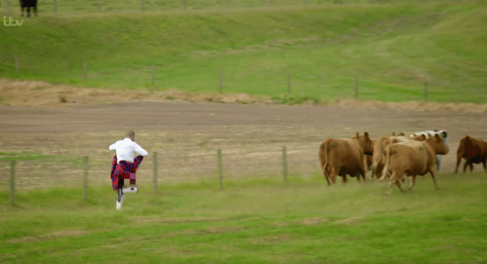 The group visited a farm and helped to herd cattle – with Fred thinking his todger would scare the cows into running away