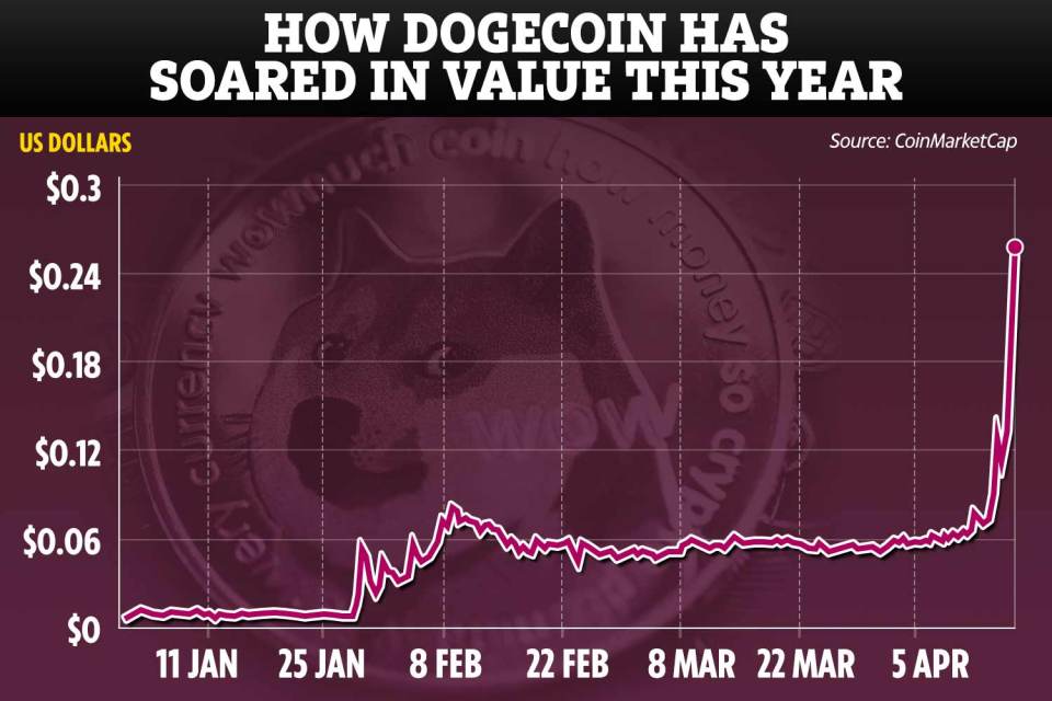 Cryptocurrency Dogecoin has soared in value this year