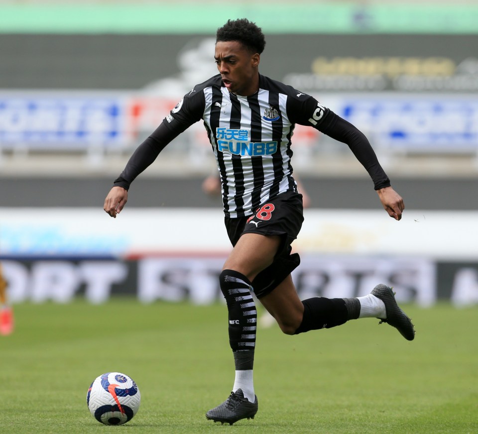 Joe Willock has scored twice for Newcastle this season