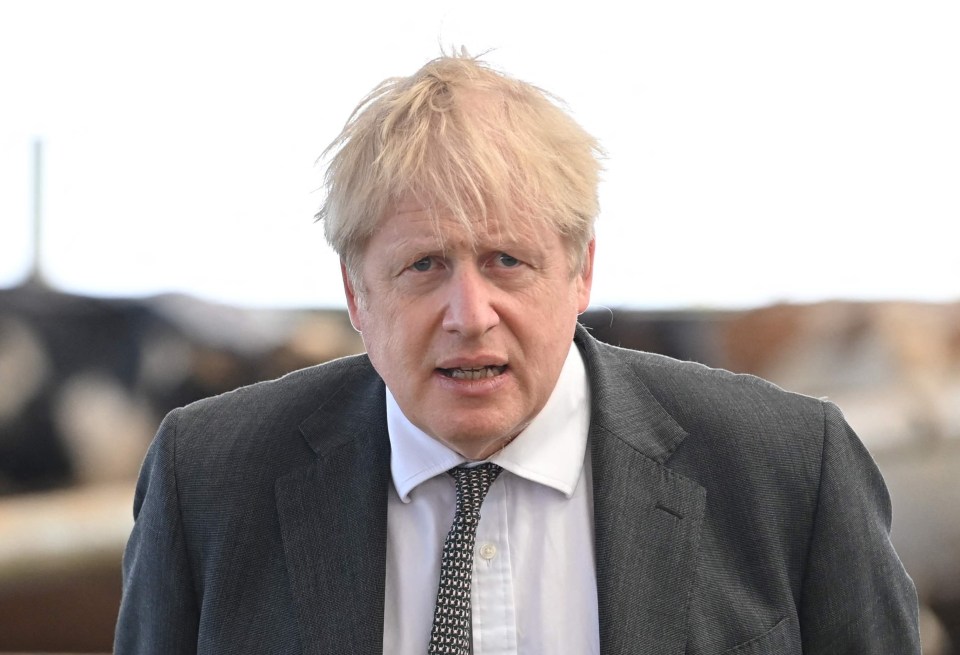 Boris Johnson today slammed the latest sentence as 'cruel and inhumane'