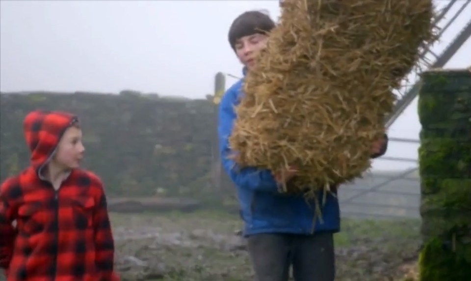 Miles opened about the chickens safety they need to be 'quarantined'