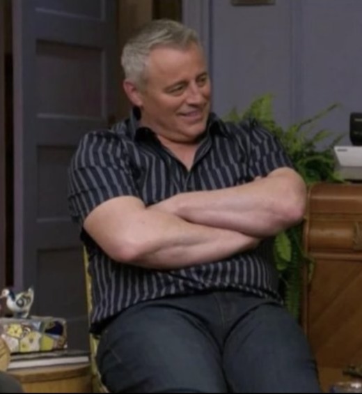 Friends reunion star Matt LeBlanc has been the subject of affectionate memes