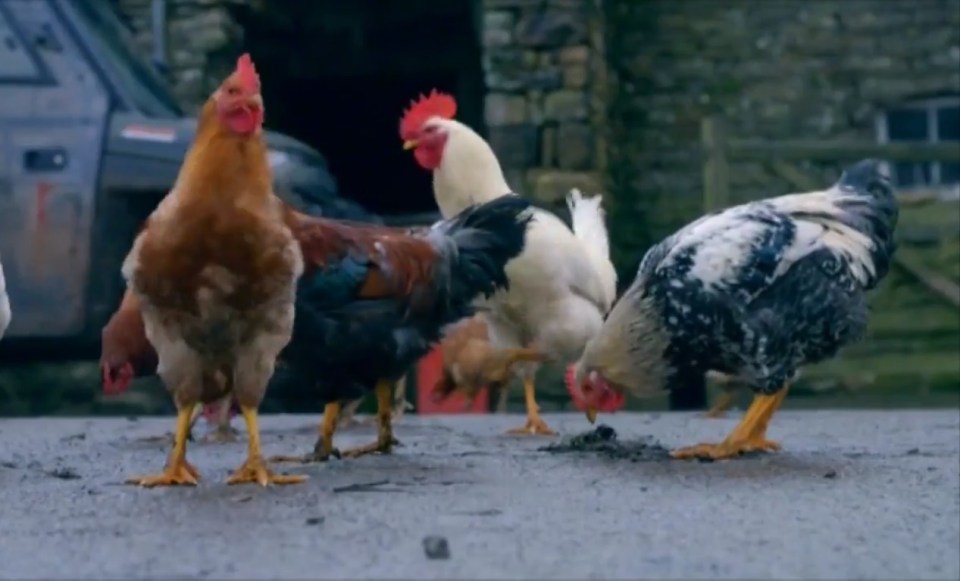 The family's poultry were at risk of the 'deadly' disease