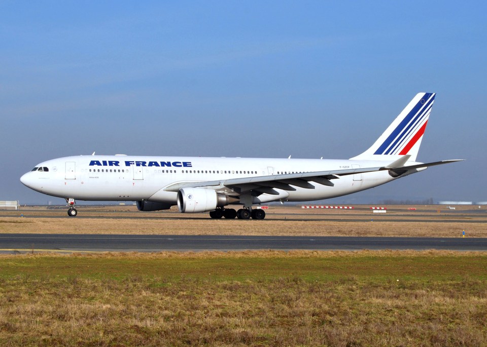 The Air France passenger jet at the centre of the worst air disaster in French history