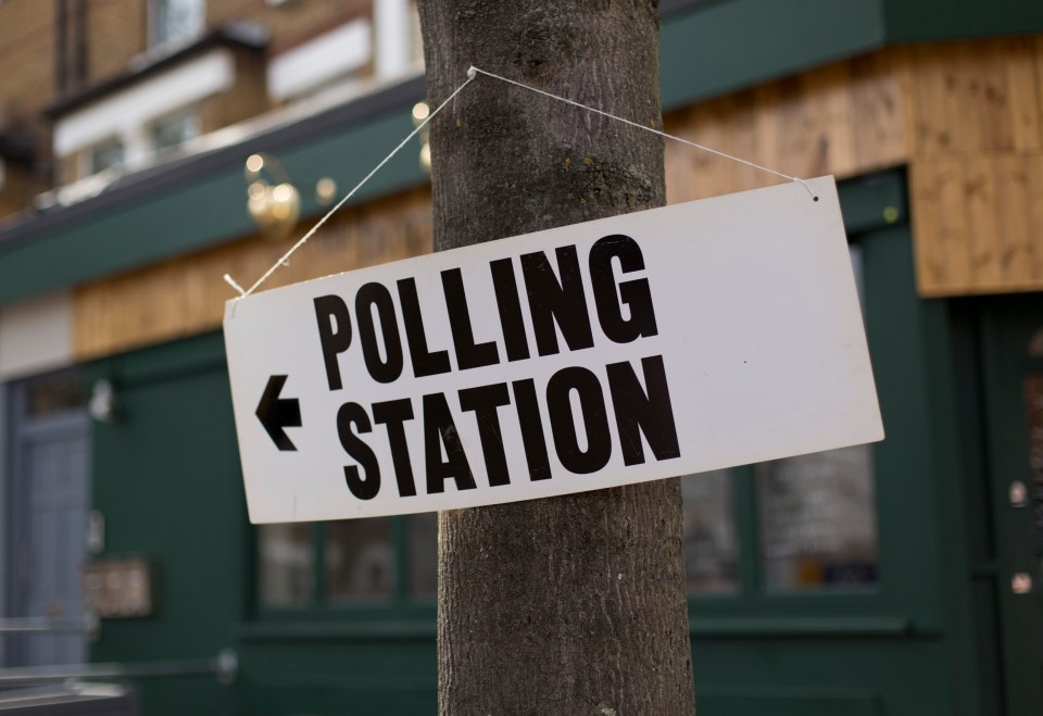 Some 48million people are eligible to vote in the elections being held on May 6