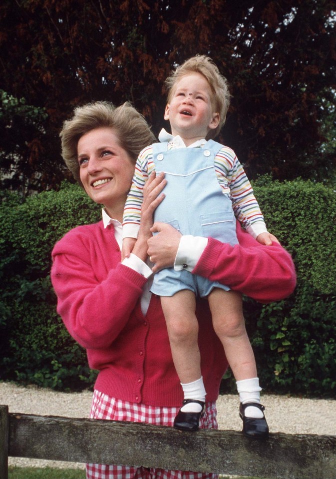 Harry bonded with Zak over the loss of his mother Diana