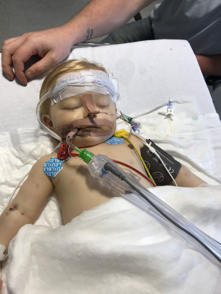 Heidi was rushed to hospital with a fever and vomiting