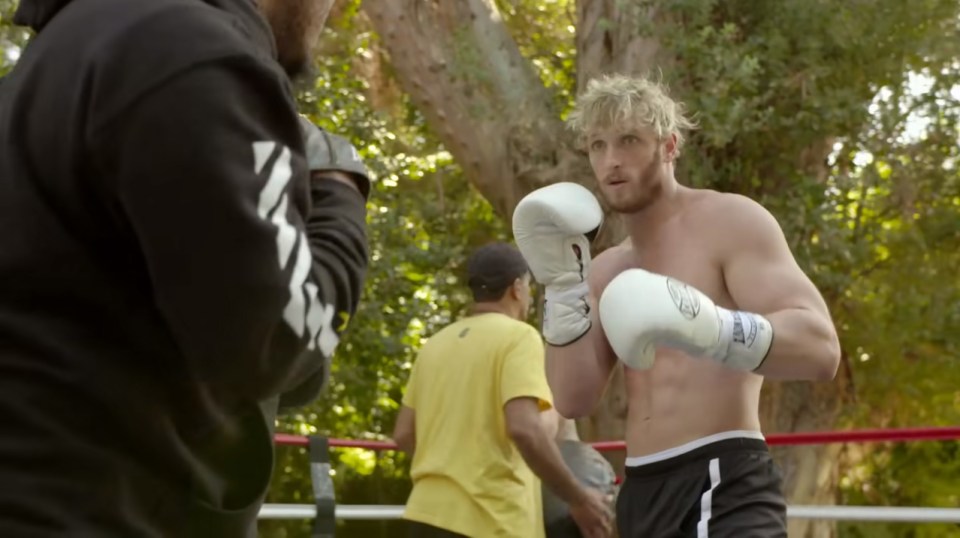 Logan Paul impressed world champ Jean Pascal with his sparring skills ahead of his fight against Floyd Mayweather