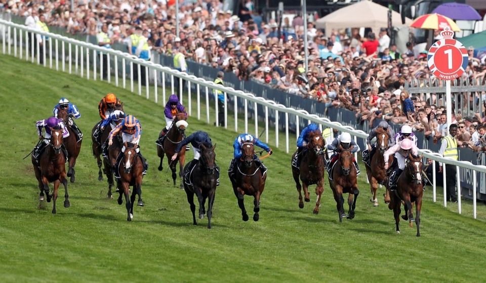 The Epsom Derby is fast dawning on punters