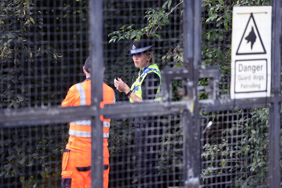 There were fears the mum may have needed urgent medical attention