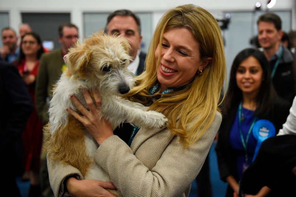 Boris Johnson's fiancee Carrie Symonds with their rescue dog Dilyn