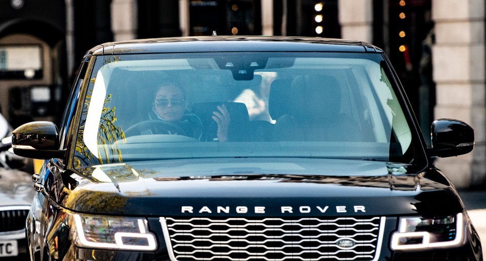 Janet Jackson appears to be using a mobile phone at the wheel