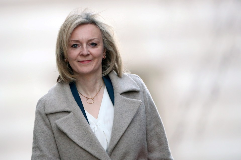 Liz Truss has urged Brits to hold off booking trips until the end of the week