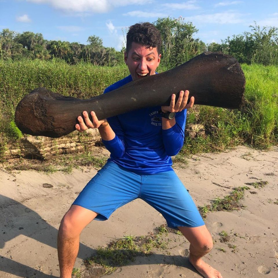 The mammoth bone was about four foot long