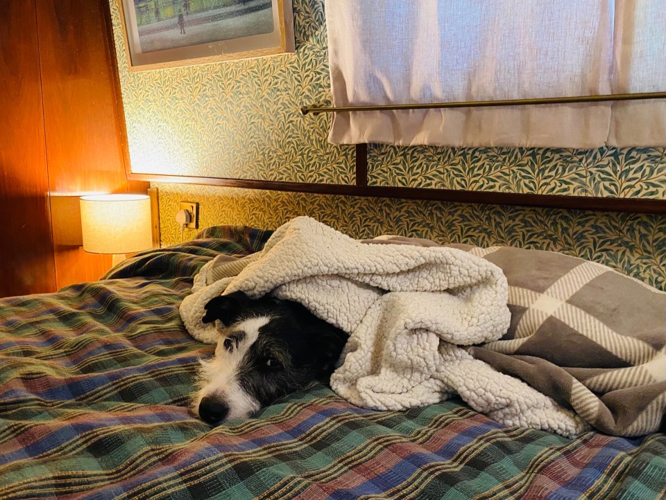 Has even given Emmerdale viewers a look at his bed - and lovely rescue dog