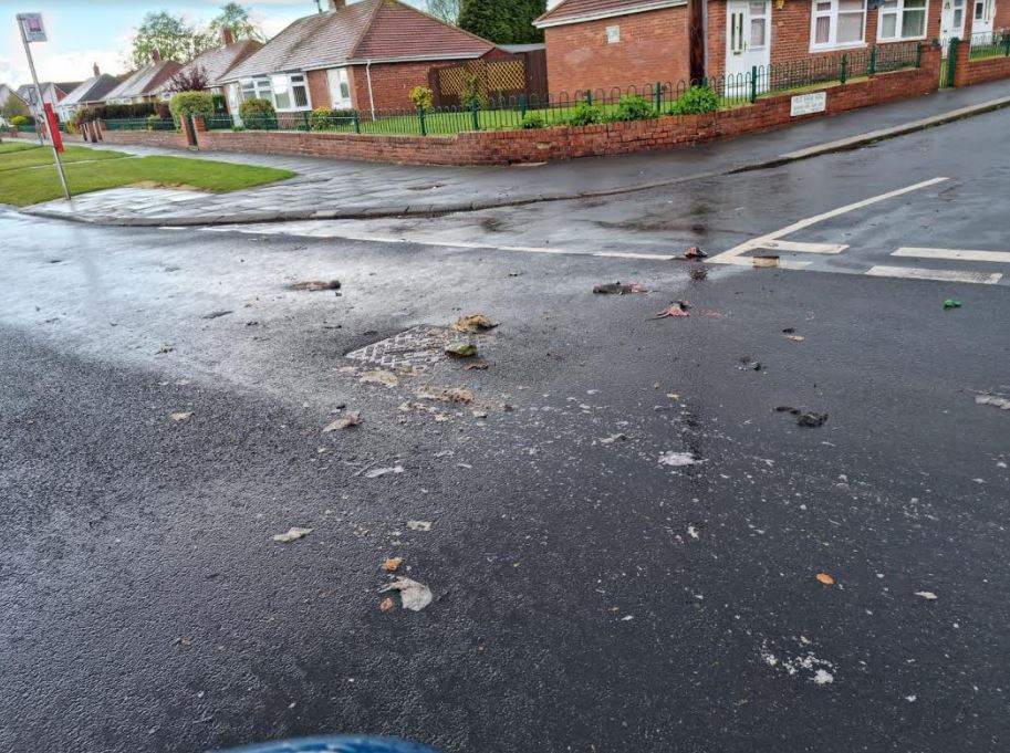 Heavy rain threw dead rats and sewage up from drains