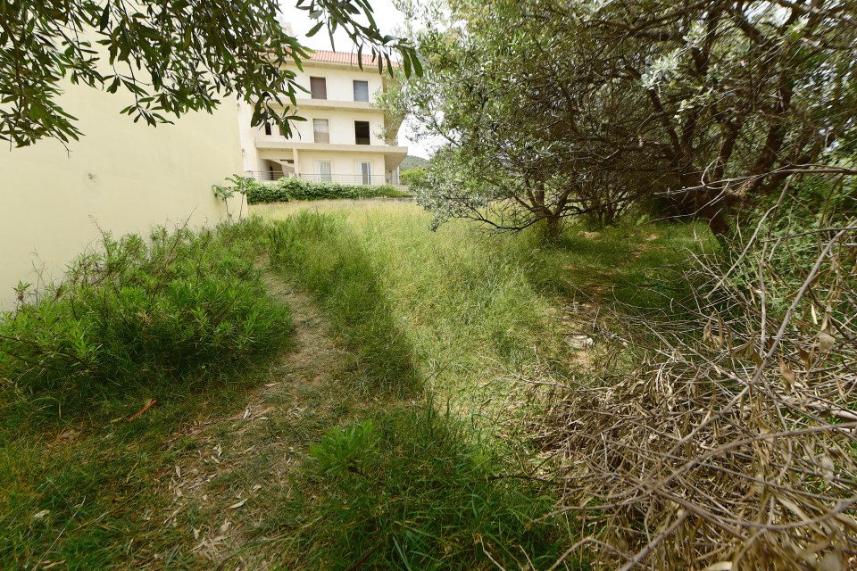 Police believe the gang watched the family from this path, and entered through a basement window at 4.30am