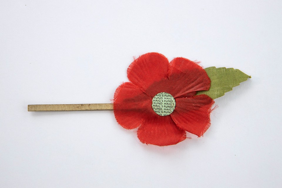 A cloth poppy from the 1920s bears the legend ‘Haig’s Fund’, after WW1 commander Field Marshall Douglas Haig