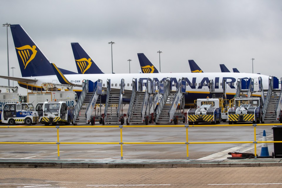 Ryanair has warned flights will cost much more next year