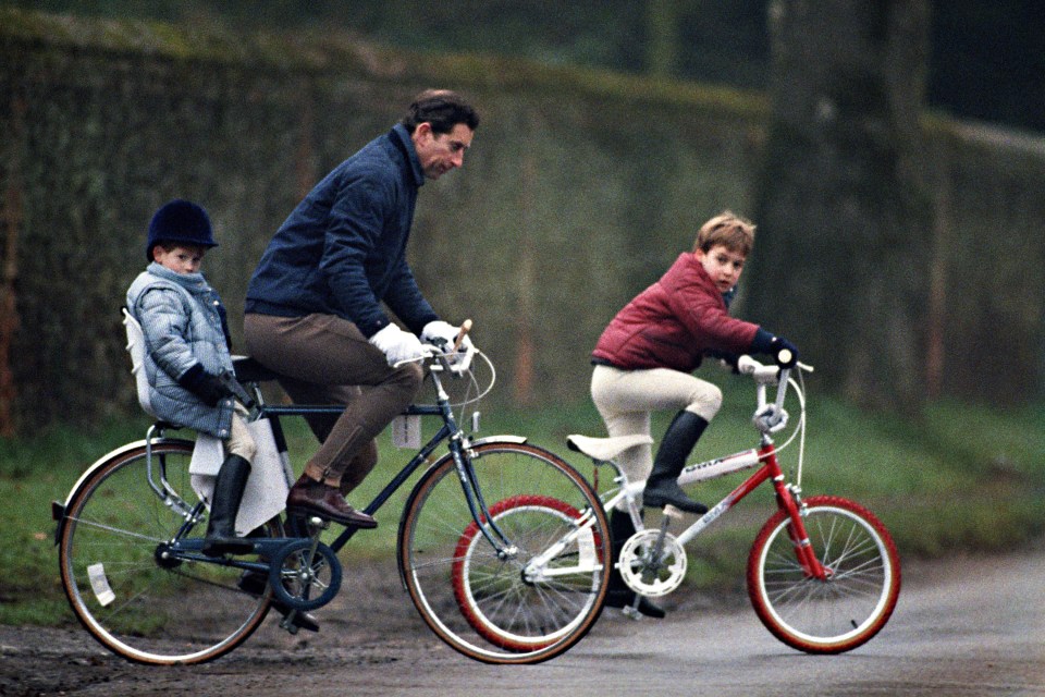 Prince Charles, Prince William and Prince Harry going to the stables at Sandringham