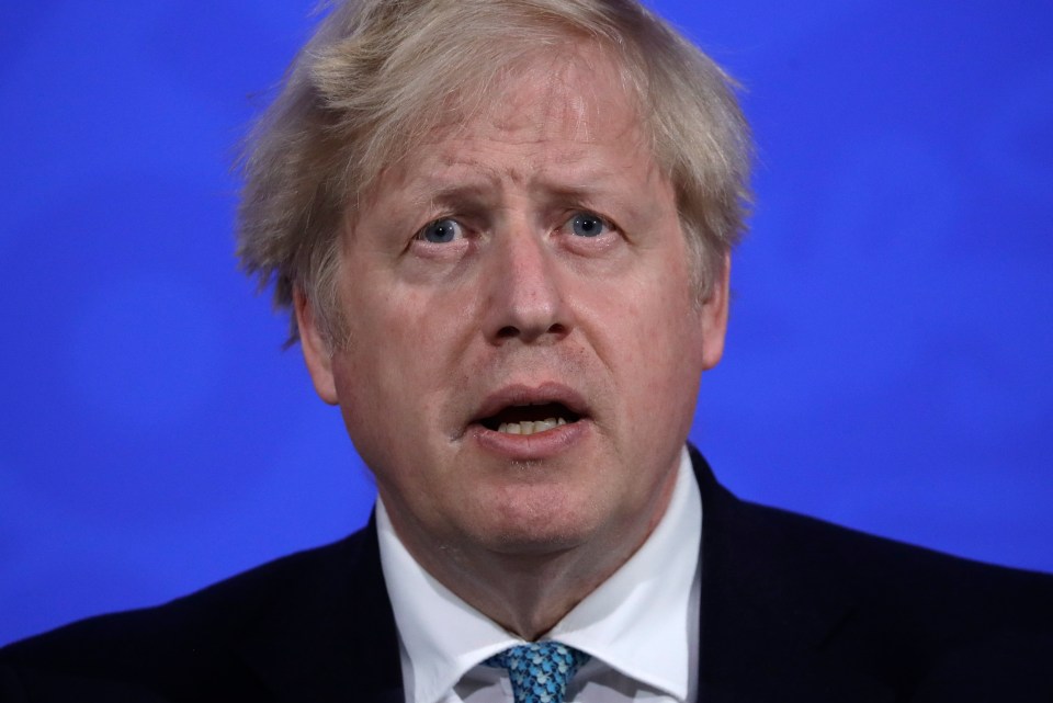 Boris Johnson has been ordered to 'hold his nerve' and stick to his virus recovery plan next month or face a jobs catastrophe