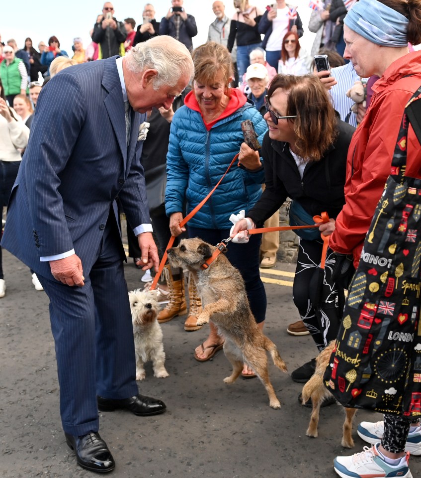 And even an enthusiastic dog leaping up didn't stop the prince from smiling broadly