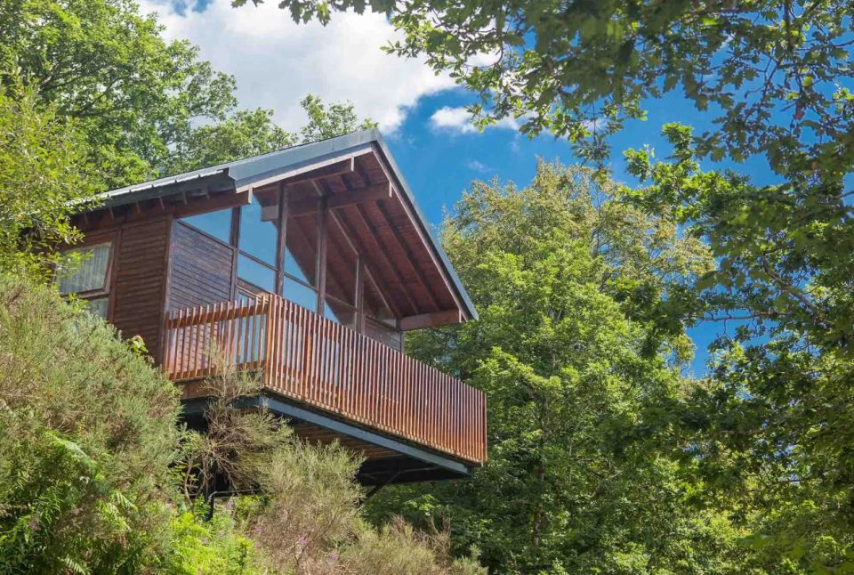 This treehouse is based in Cornwall