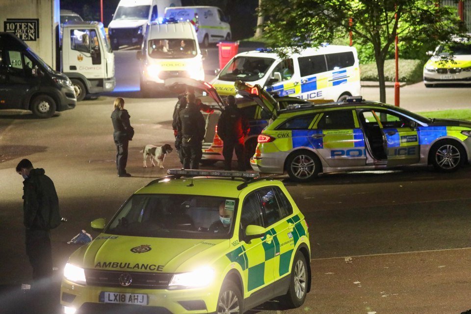 Police and ambulance were on site, paramedics treated various partygoers