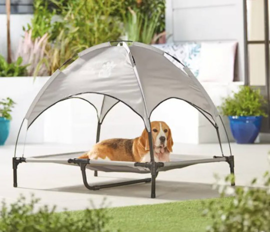 Keep your pet cool this summer which this incredible sunlounger from Aldi