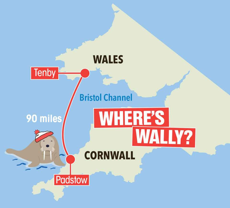 Wally crossed the 90-mile Bristol Channel