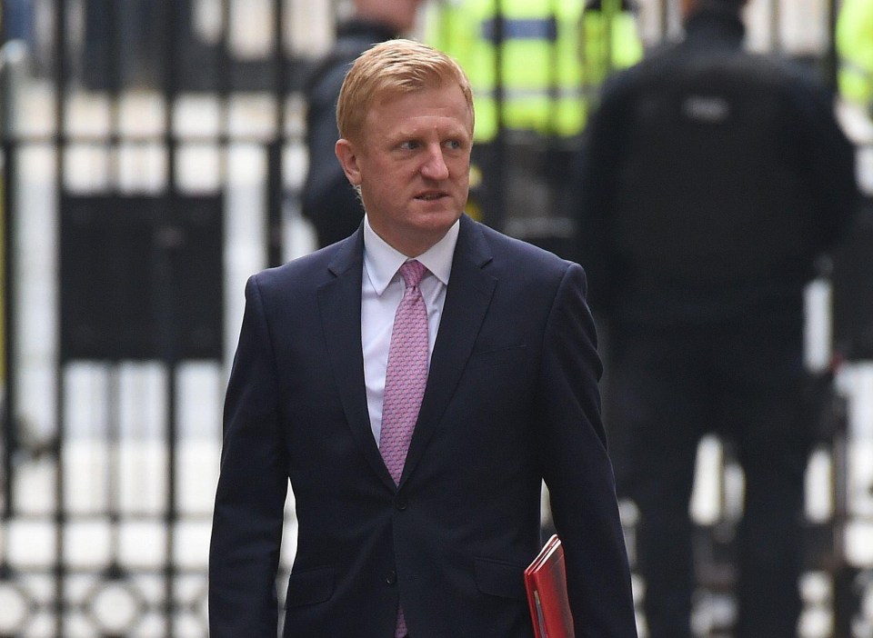 Culture Secretary Oliver Dowden said it is currently an 'anxious time' for theatres, music venues and sports stadiums hoping to re-open with full houses next month