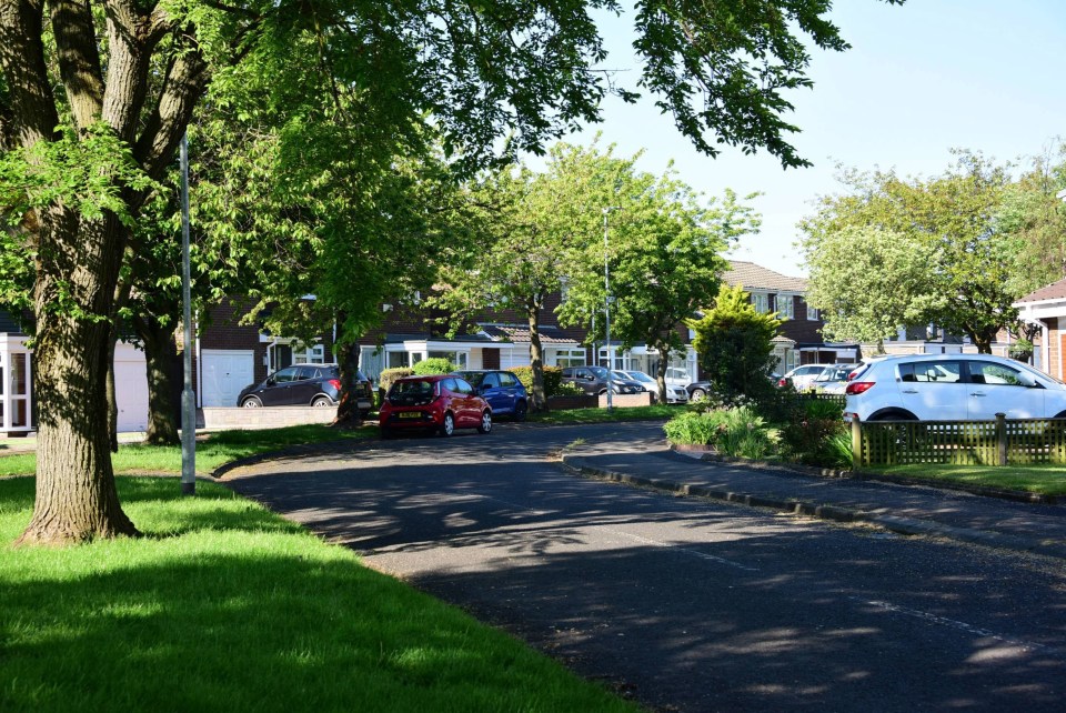 Six teens have been arrested on suspicion of murder after a 35-year-old man was fatally injured in a cul-de-sac in Northumberland