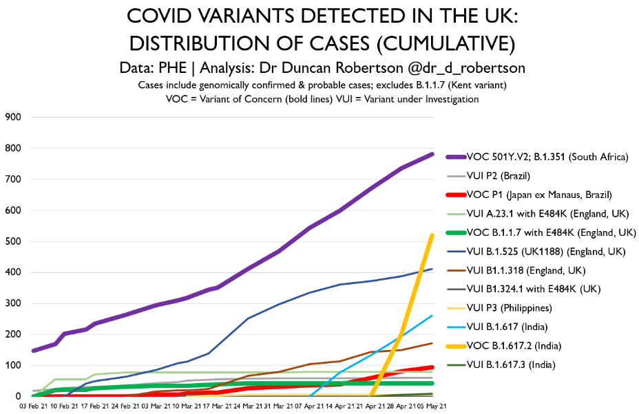 Dr Duncan Robertson, Policy & Strategy Analytics academic at Loughborough University, revealed how quickly the Indian variant (thick yellow line) had grown in comparison to other new variants