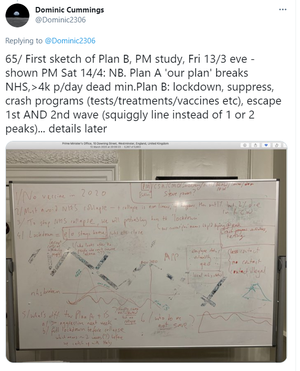 Mr Cummings tweeted a plan from the early days of the pandemic which had the message 'who not to save'