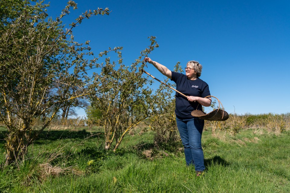 Pev Manners is managing director at Belvoir Farm