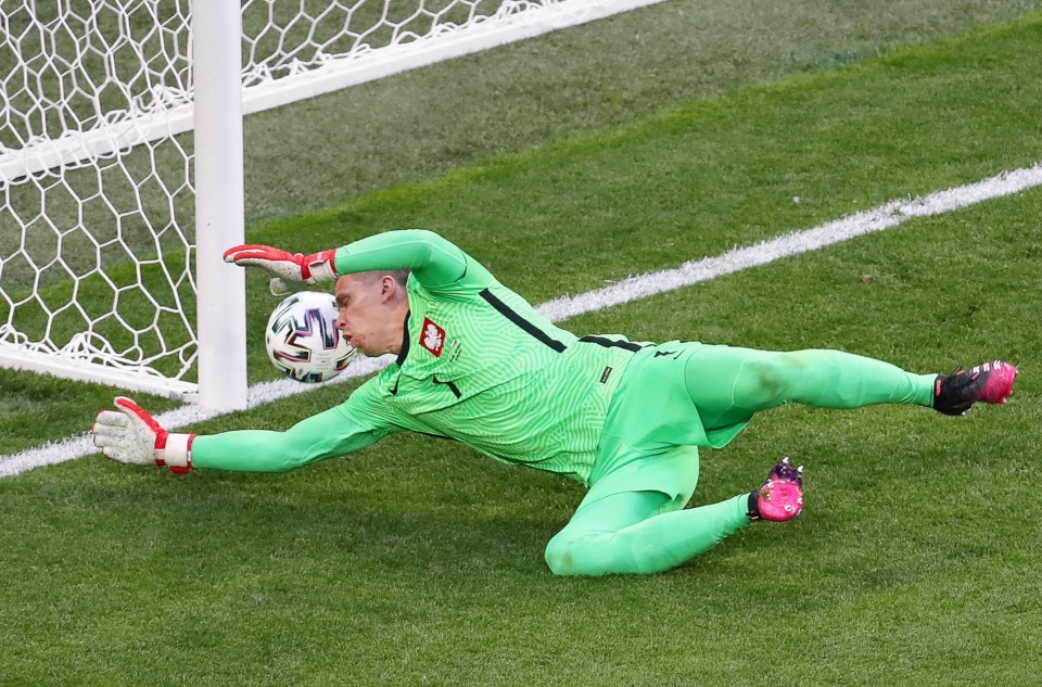 Wojciech Szczesny scored an own goal as Poland were defeated by Slovakia