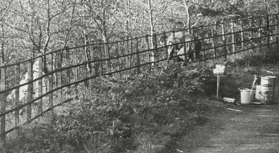 An investigator examining the site of where Tutill's body was dumped near Box Hill, Surrey - Field would go on to commit more crimes against kids