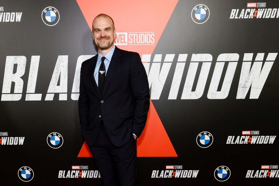 Russian super-soldier Alexei Shostakov is played by David Harbour