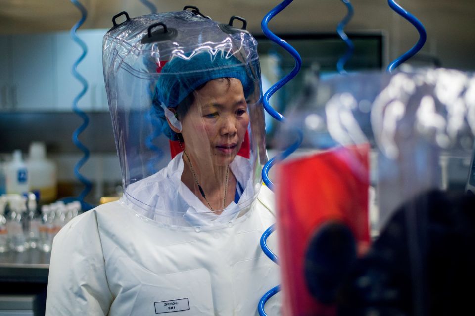 Wuhan lab boss Dr Shi Zhengli has denied the virus came from her facility