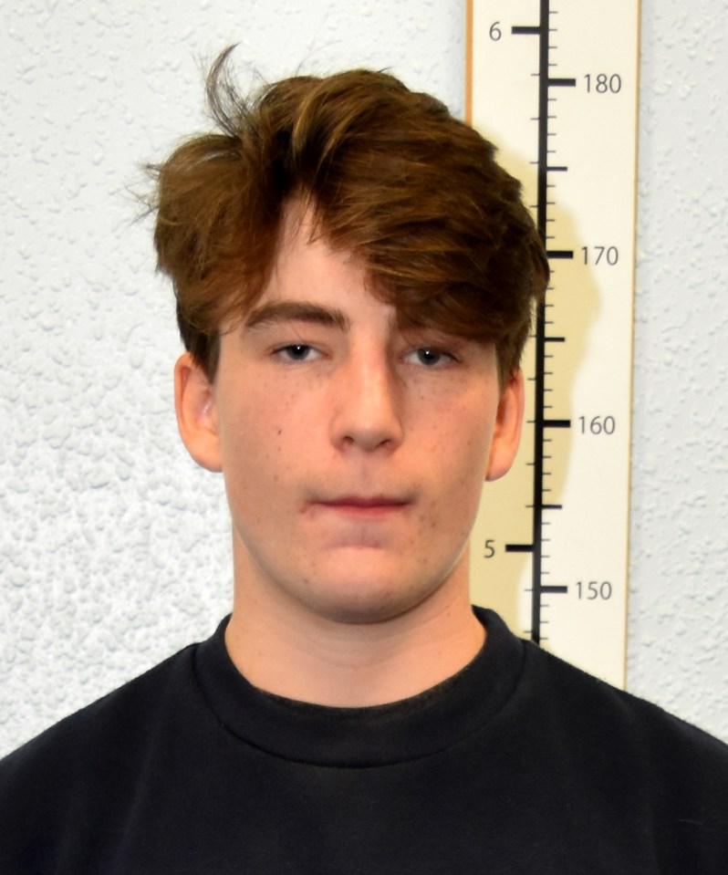 Harry Vaughan, 18, was convicted of possessing far-right material