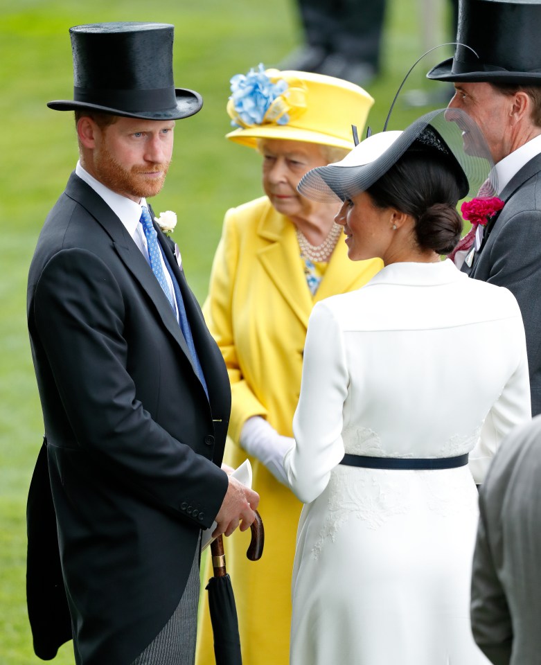 Penny Junor, the prince’s biographer, said: 'He clearly hasn’t consulted the Queen at that point'