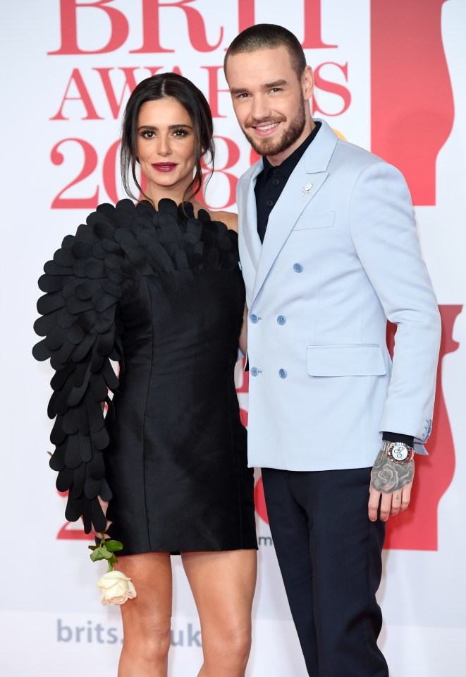 Liam Payne has said his ex Cheryl wants their son Bear to become a yogi - instead of following in their showbiz footsteps