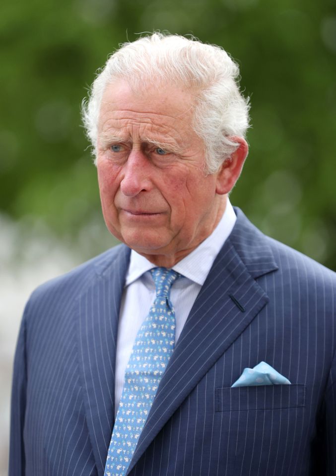 Prince Charles told the Sussexes that Archie will never be Prince before their interview, according to reports